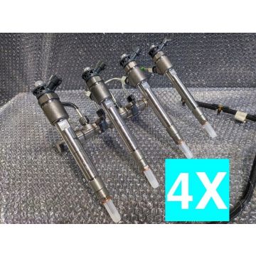 4x Einspritzdüsen 0445110955 9828959880 JX6Q-9F593-AB  CITROËN PEUGEOT FORD  1.5